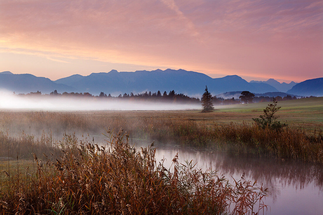 Morning mood with fog, view over the Ach bei Uffing am Staffelsee to the mountain range of the Alps, Bavaria, Germany