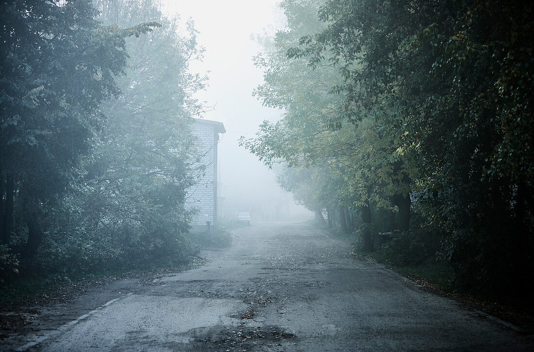 A foggy laneway at dawn in a small town outside of Moscow Russia.
