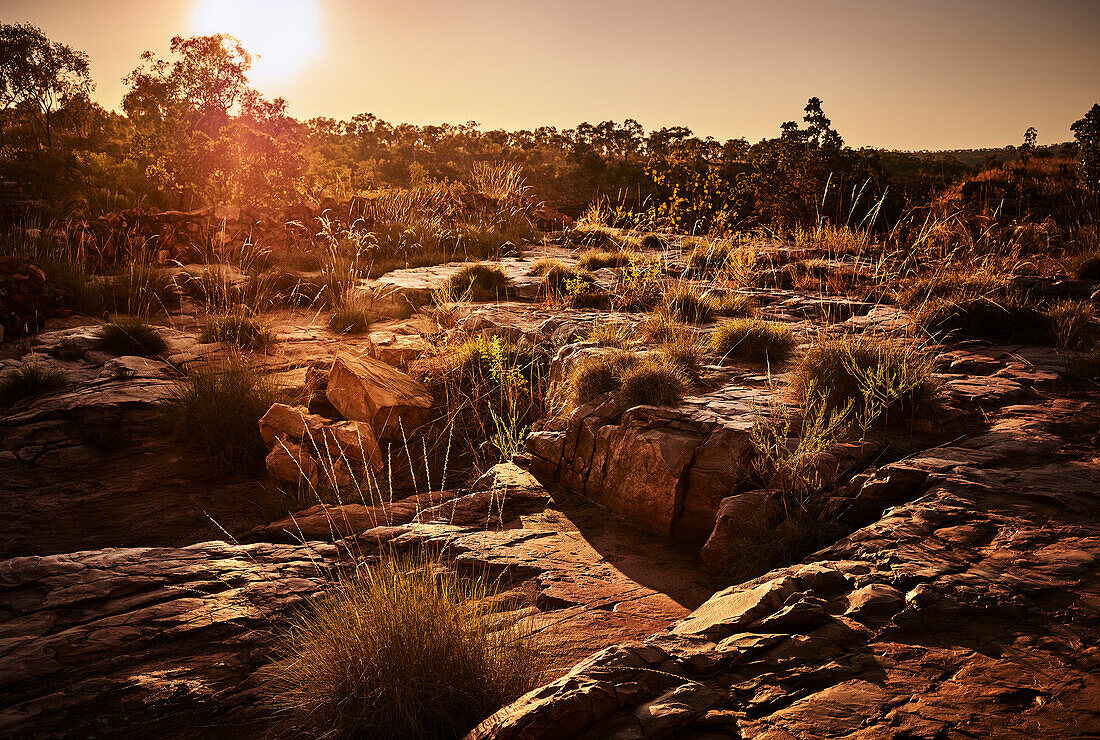Sonnenaufgang im Outback bei The Grotto, Wyndham, The Kimberley, Western Australia, Australien