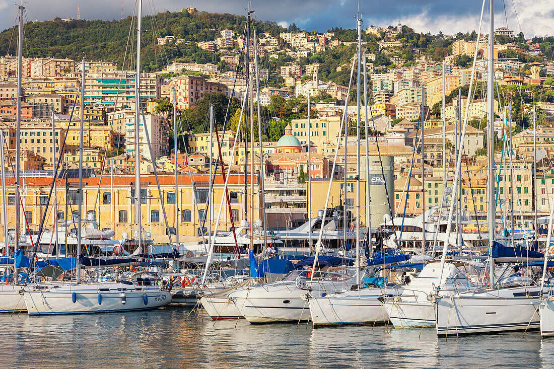 Historic district and Porto Antico (Old Port) view, Genoa, Liguria, Italy, Europe,
