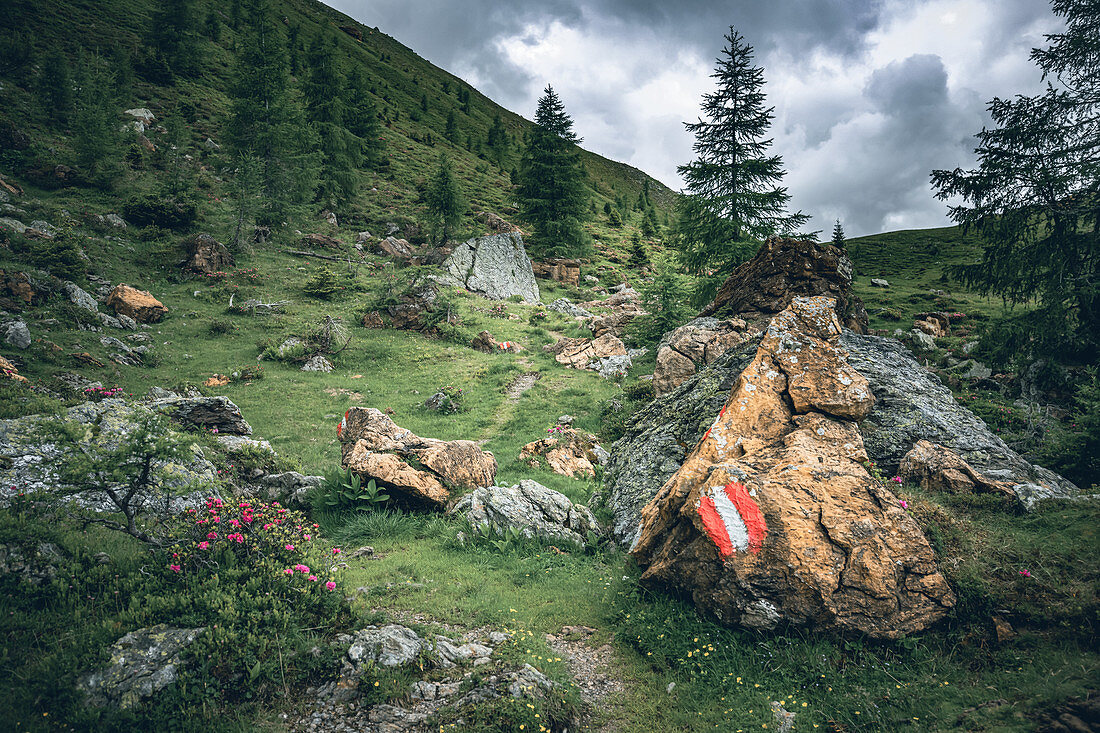 Klomnockrundweg mit Wegmarkierung an einem roten Felsen bei der roten Burg, Biosphärenpark Nockberge, Kärnten, Österreich, Europa.
