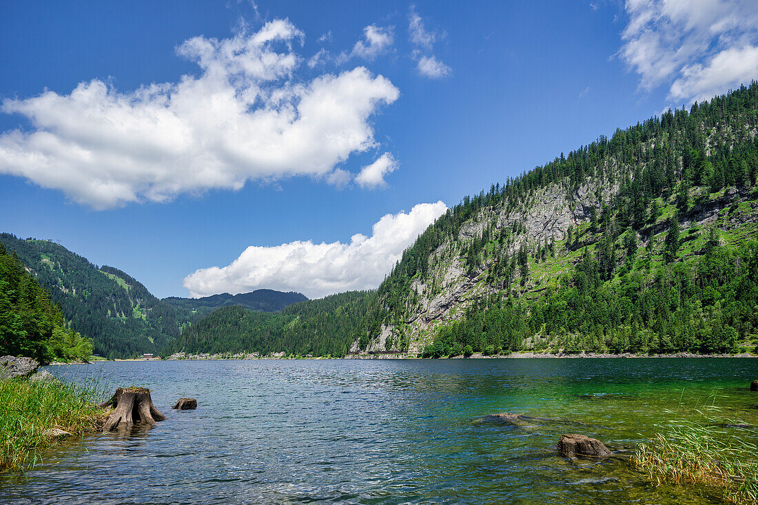 Am Vorderen Gosausee, Gosau, Gosauseen, Salzkammergut, Austria, Europe