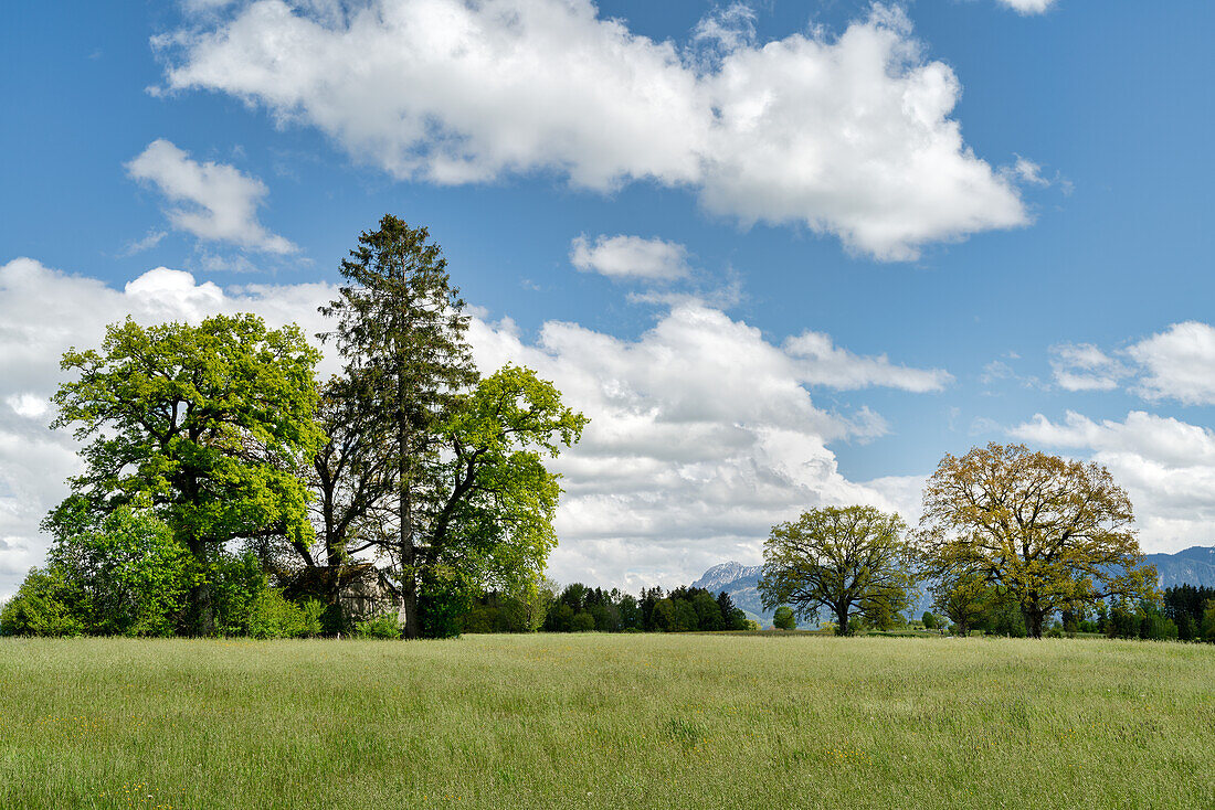 Blick über das Oberland an einem sonnigen Frühlingstag, Weilheim, Bayern, Deutschland, Europa