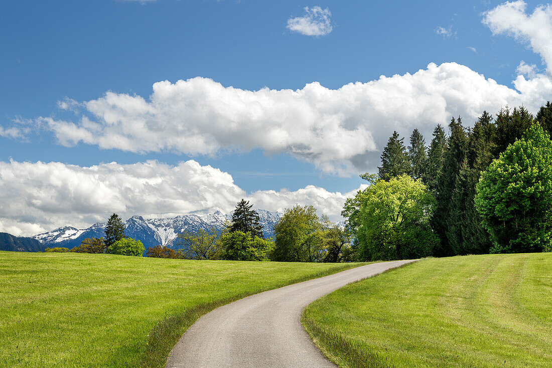 Blick über das Oberland an einem sonnigen Frühlingstag, Weilheim, Bayern, Deutschland, Europa