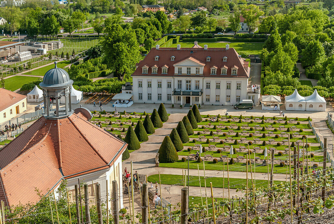 Main building of the Saxon State Winery Schloss Wackerbarth in Radebeul, Saxony, Germany