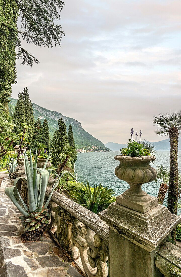 Botanischer Garten der Villa Monastero, Varenna, Lombardei, Italien