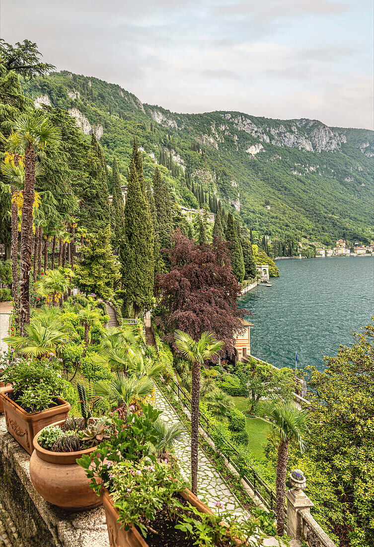 Botanischer Garten der Villa Monastero, Varenna, Lombardei, Italien