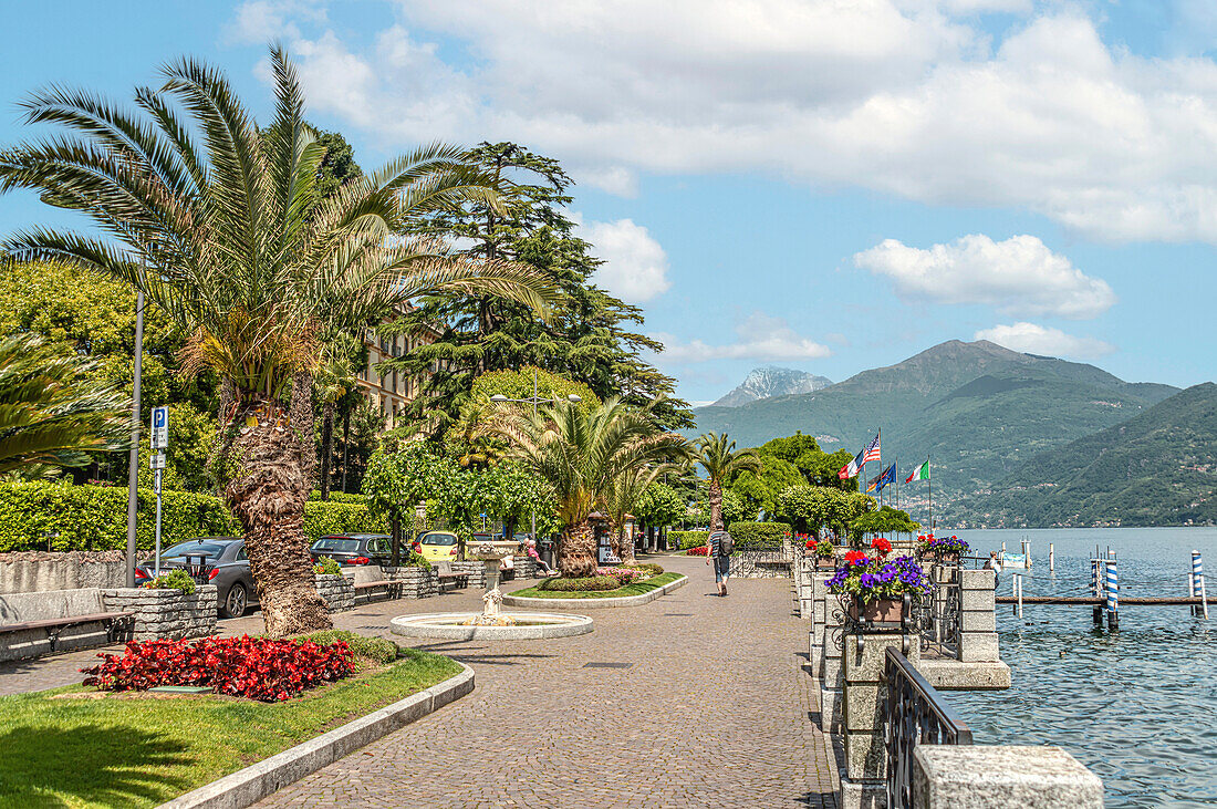 Seepromenade von Menaggio am Comer See, Lombardei, Italien 