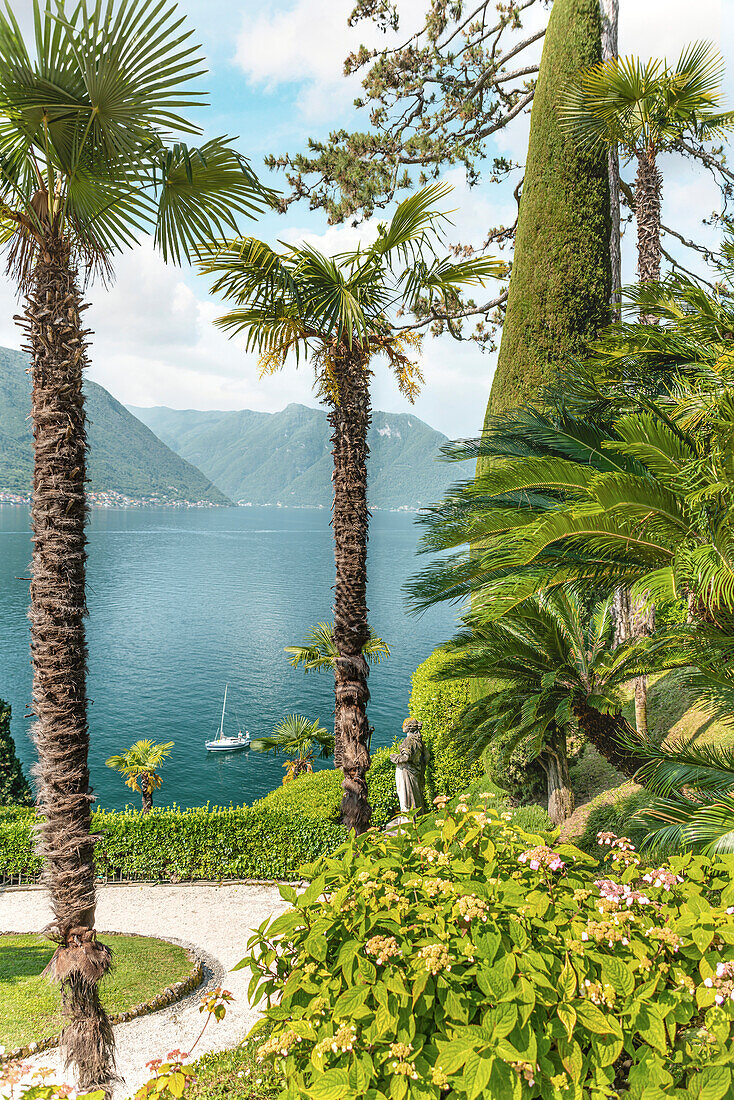 Palm garden of Villa Balbianello in Lenno on Lake Como, Lombardy, Italy