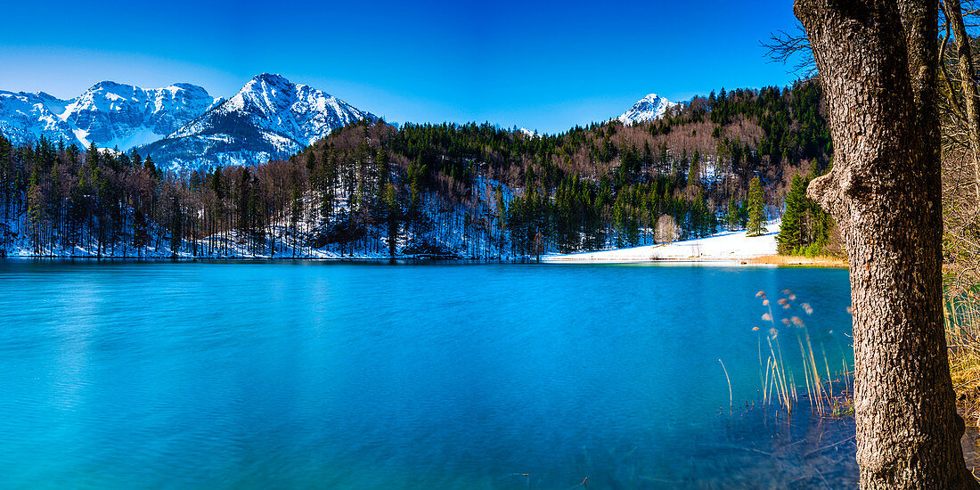 Alatsee, Ostallgäu, Allgäu, Schwaben, Bayern, Deutschland, Europa