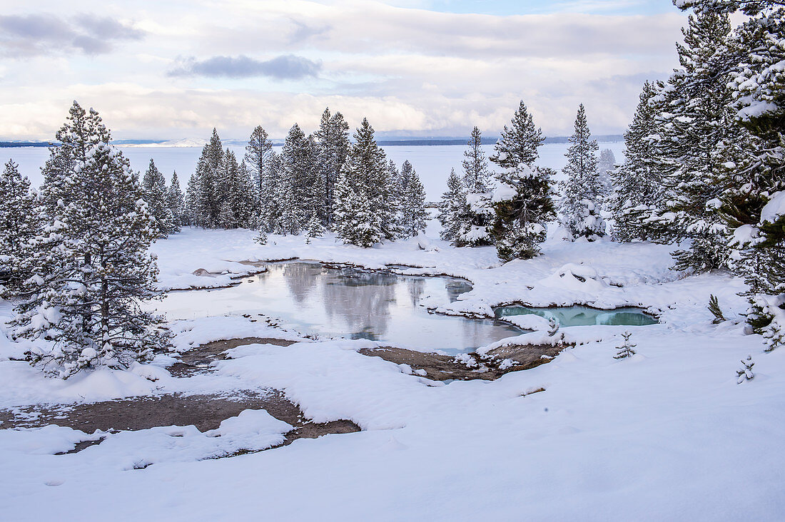 Snowscape of thermal feature with reflection, Yellowstone National Park, UNESCO World Heritage Site, Wyoming, United States of America, North America
