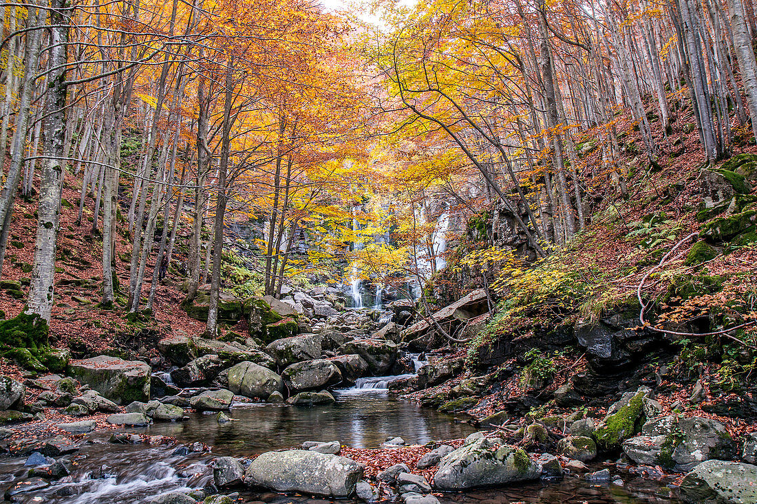 Herbstwälder und Wasserfall im Hintergrund, Dardagna-Wasserfälle, Parco Regionale del Corno alle Scale, Emilia Romagna, Italien, Europa