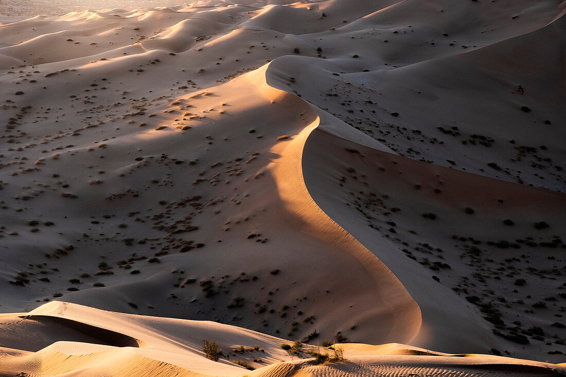 Sonnenuntergangslicht auf den Sanddünen der Rub al Khali Wüste, Oman, Naher Osten
