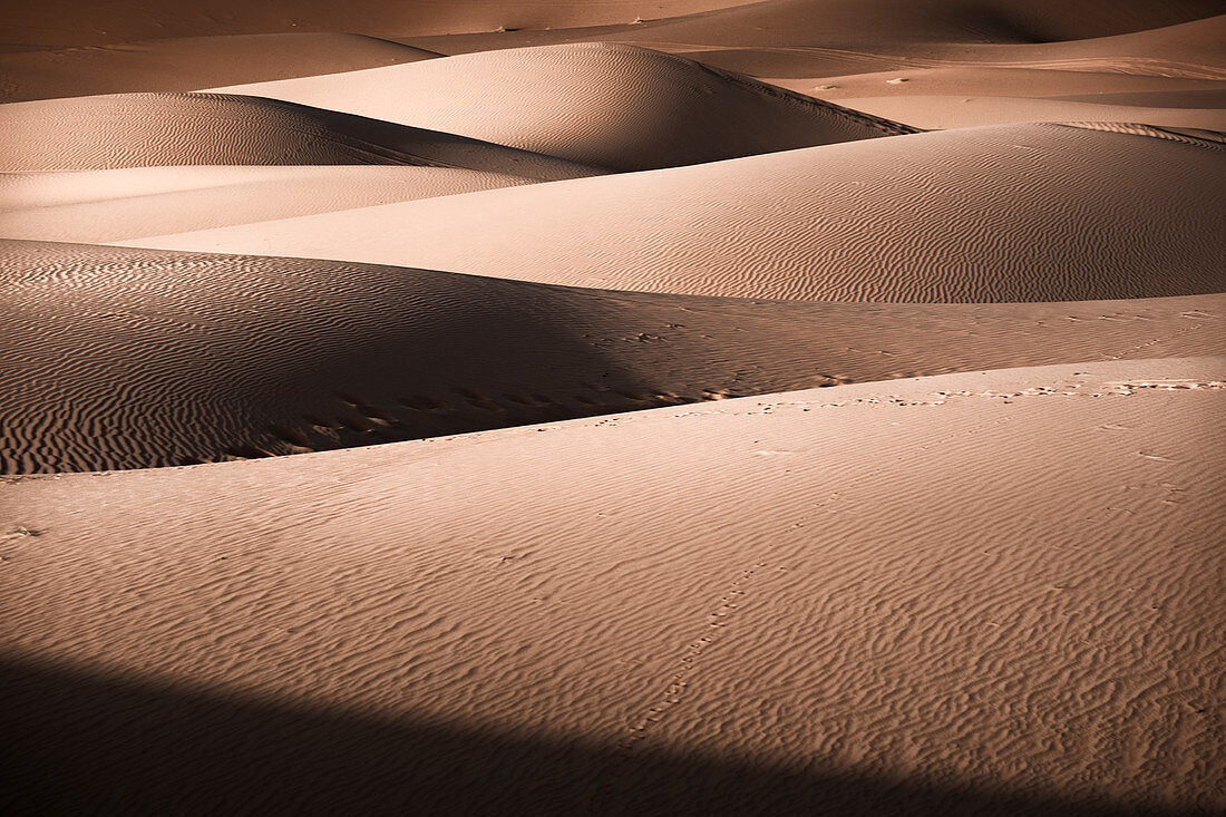 Sand dunes details of lights and shadows in the Sahara Desert, Merzouga, Morocco, North Africa, Africa