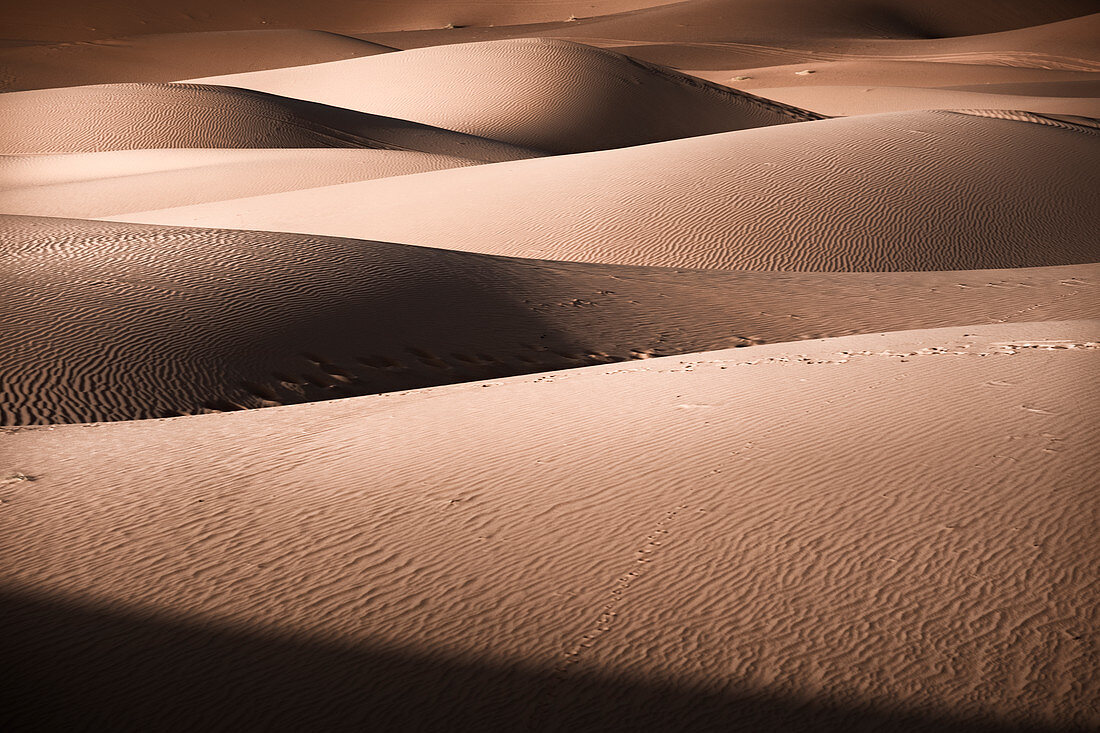 Sanddünen Details von Lichtern und Schatten in der Sahara, Merzouga, Marokko, Nordafrika, Afrika