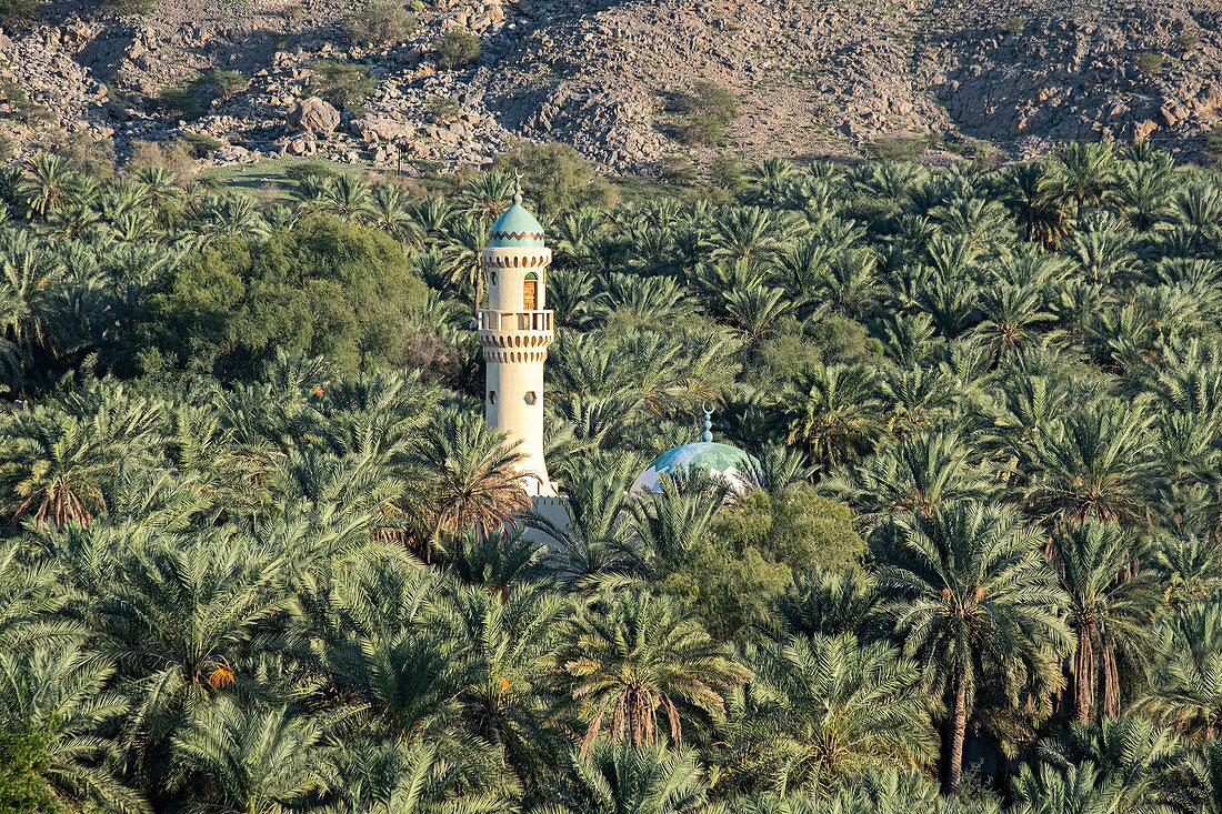 Ein Minarett und eine Moschee inmitten einer Palmenoase, Oman, Naher Osten