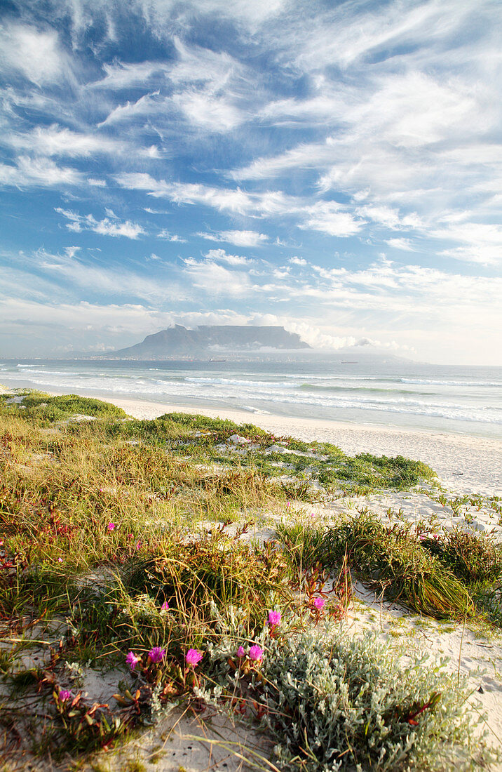 Cape Town from Bloubergstrand, Western Cape, South Africa, Africa