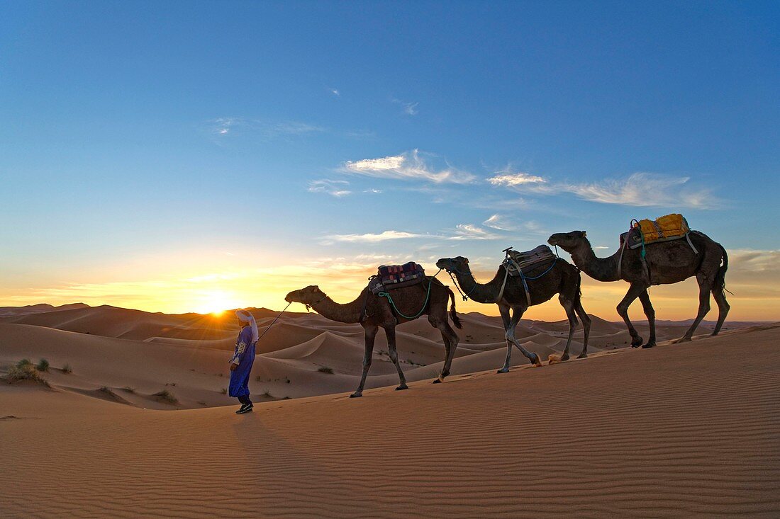 Morocco, Tafilalet region, Merzouga, erg Chebbi dunes 