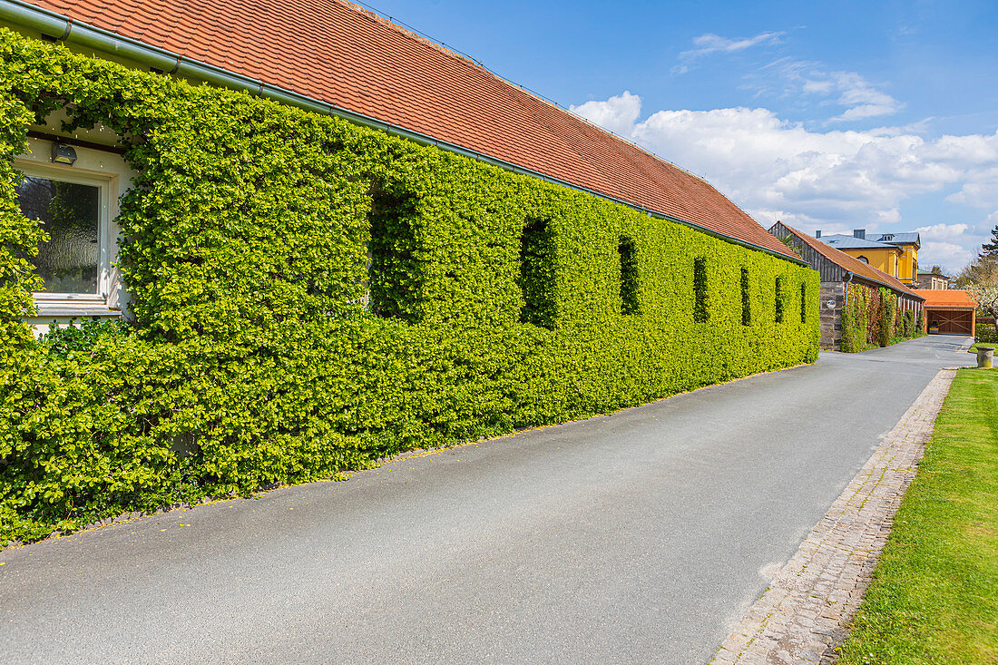 Orangerie Hofgarten Bayreuth, Bayern, Deutschland