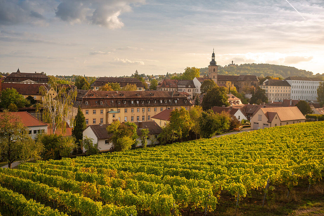 Germany, Bavaria, Bamberg, Vineyard and townscape