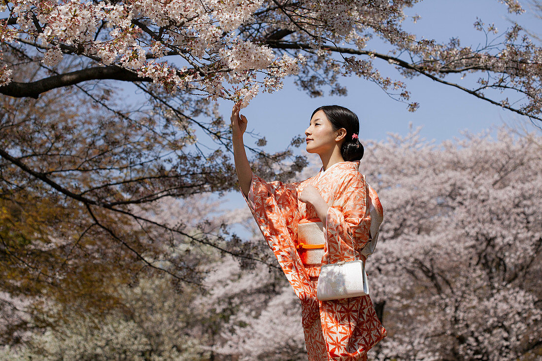 Schöne junge Frau im japanischen Kimono unter Kirschblütenbäumen