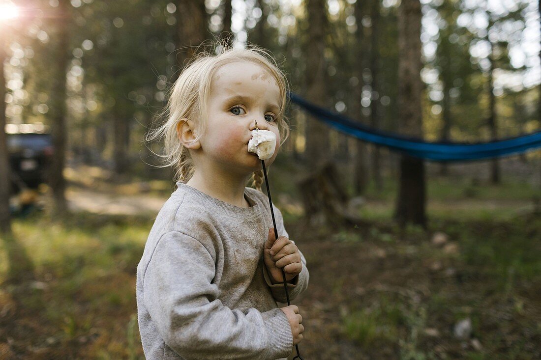 Portrait of girl (2-3) eating marshmallow in forest,Wasatch Cache National Forest