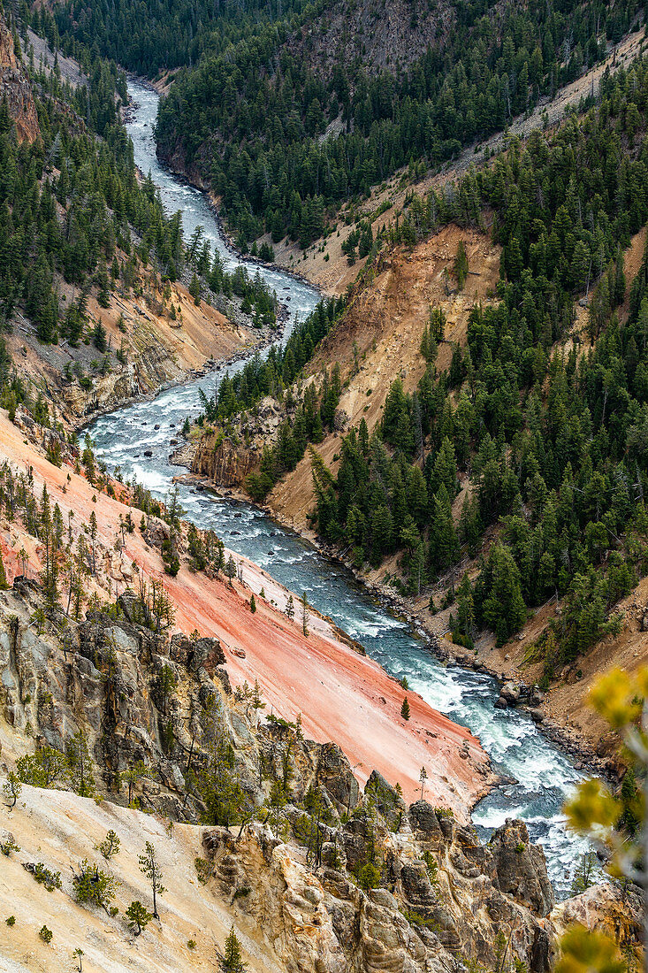 USA, Wyoming, Yellowstone-Nationalpark, Yellowstone-Fluss fließt durch den Grand Canyon im Yellowstone-Nationalpark