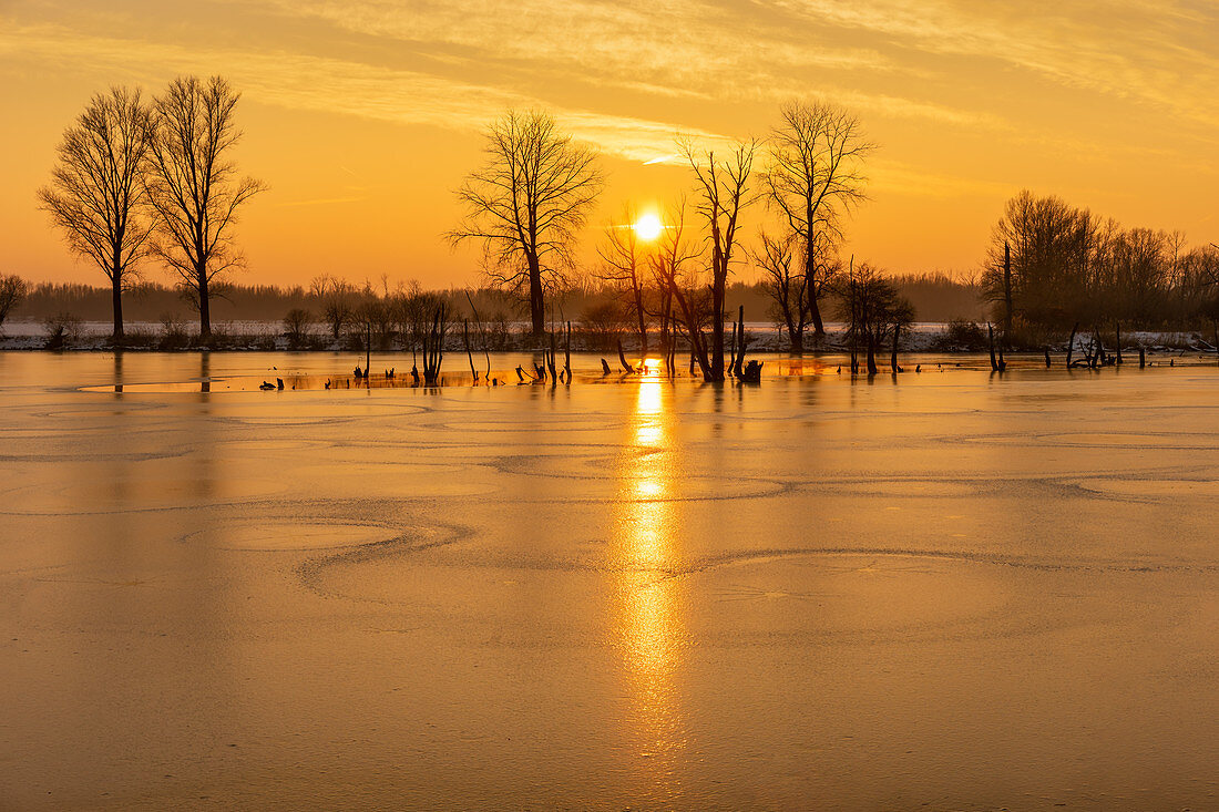 Sonnenaufgang über dem winterlichen Donaualtwasser bei Wörth, Bayern, Deutschland, Europa