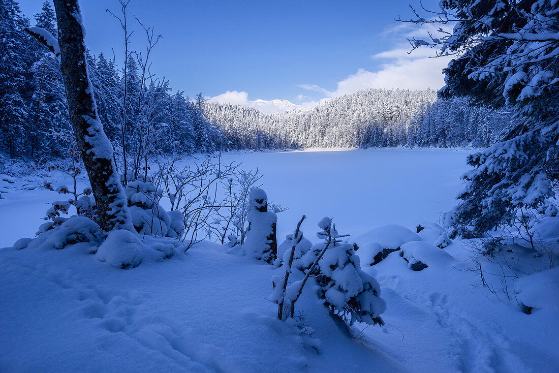 Winter at Untersee, Eibsee, Grainau, Bavaria, Germany, Europe