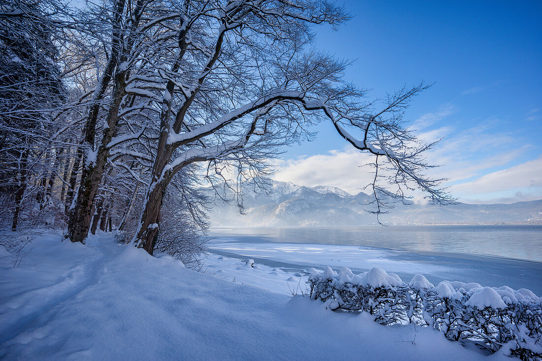 Winter morning at Kochelsee, Upper Bavaria, Bavaria, Germany, Europe