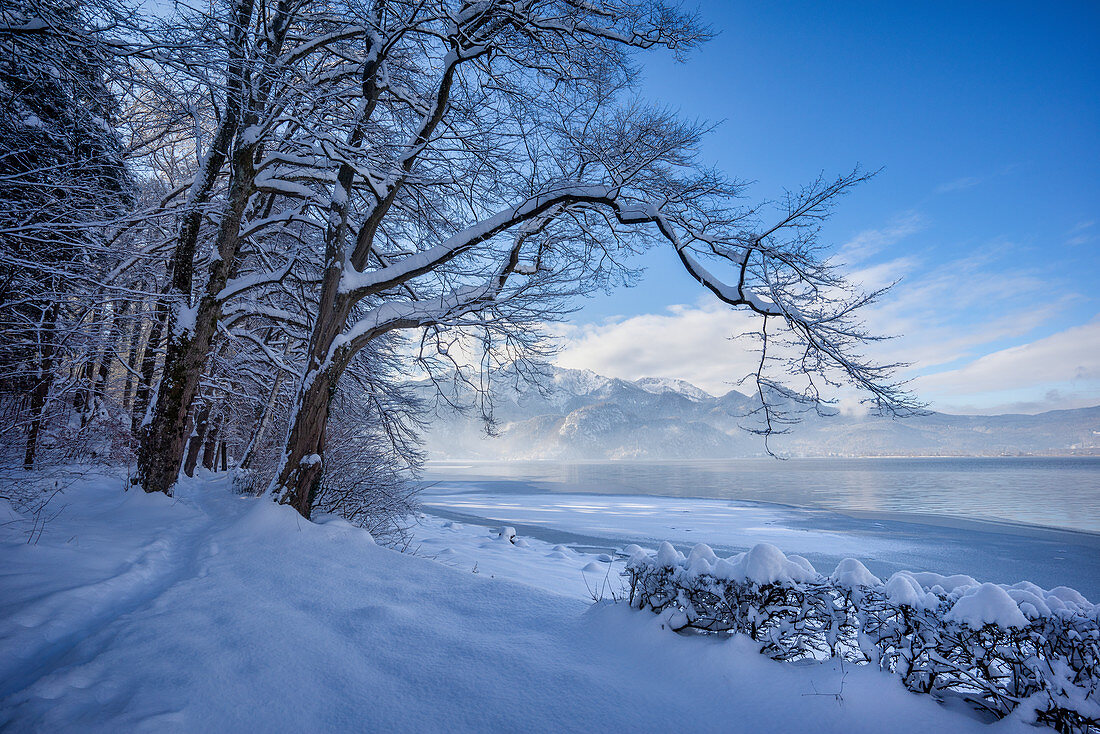 Wintermorgen am Kochelsee, Oberbayern, Bayern, Deutschland, Europa