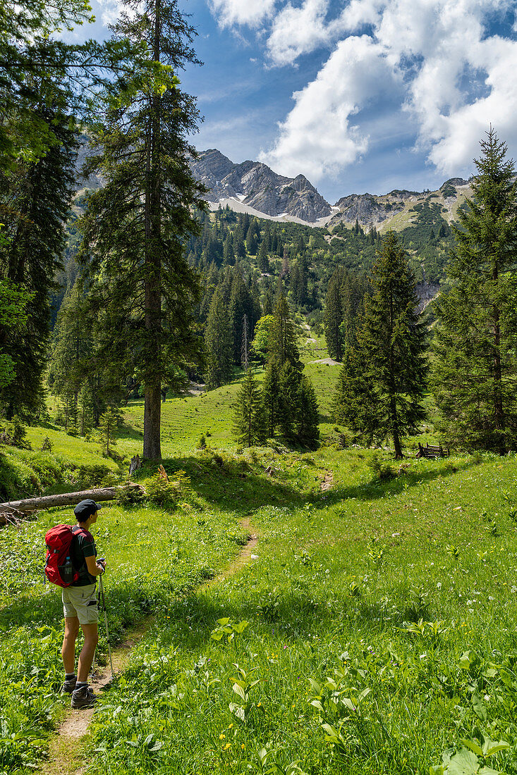 Auf dem Weg zum Lösertaljoch durch das Lösertal mit Blick auf Scheinbergspitze und Lösertalkopf, Ammergauer Alpen, Bayern, Deutschland, Europa