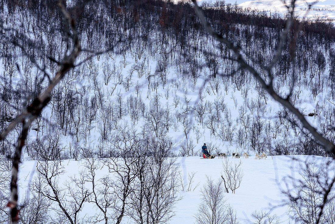 Hundeschlittentour bei Indset, Huskyfarm von Björn Klauer, Bardufoss, Norwegen