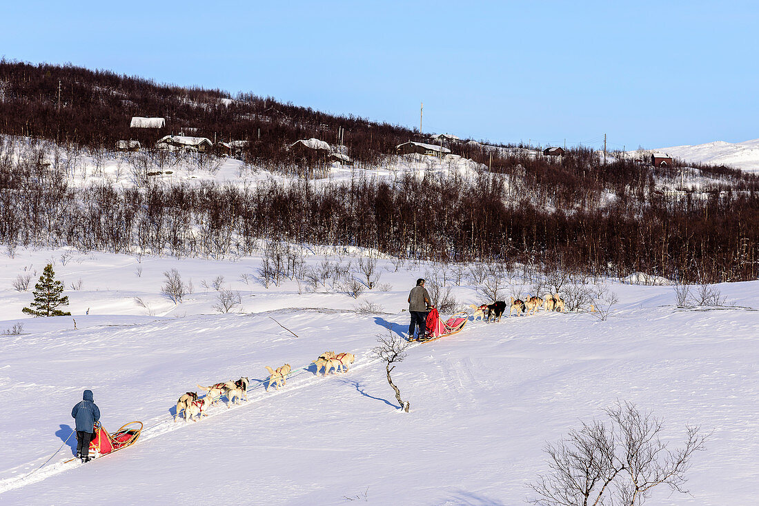 Hundeschlittentour bei Indset, Huskyfarm von Björn Klauer, Bardufoss, Norwegen