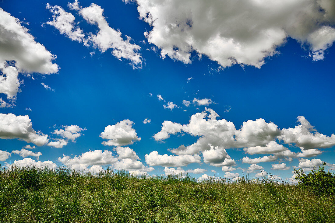 Cumulus clouds over summer fields in Burgbrohl, Rhineland-Palatinate, Germany
