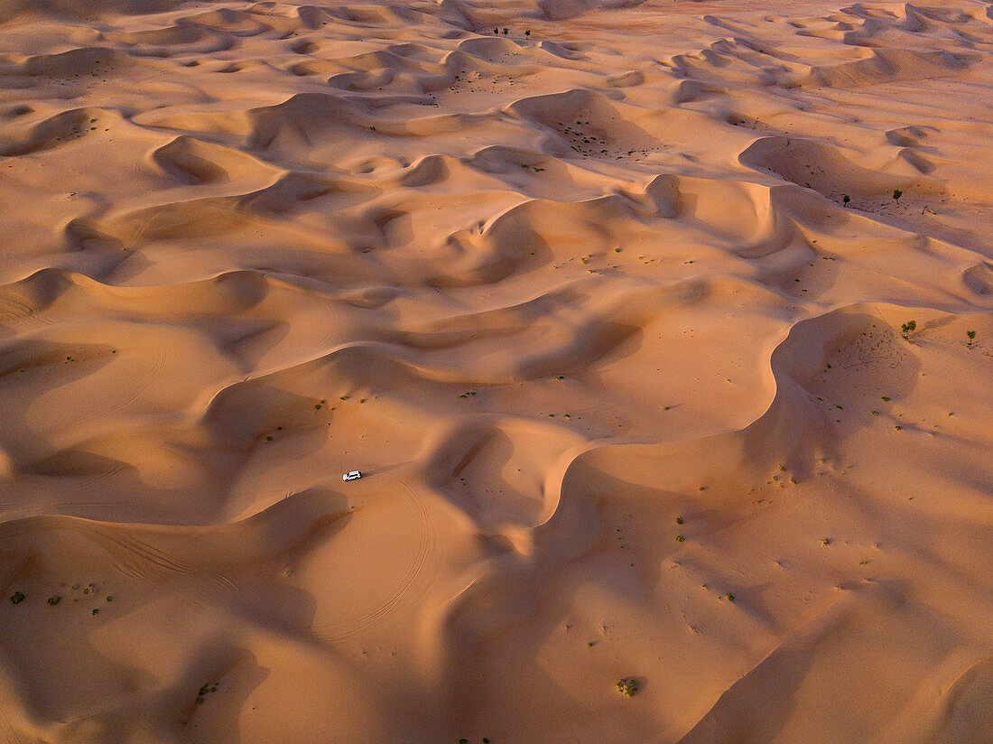 Aerial view of a four-wheel drive vehicle in dunes during a &quot;dune bashing&quot; excursion in the desert, Arabian Nights Village, Razeen Area of Al Khatim, Abu Dhabi, United Arab Emirates, Middle East