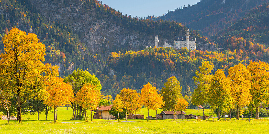 Neuschwanstein Castle near Hohenschwangau, Romantische Strasse, Ostallgäu, Bavaria, Germany, Europe