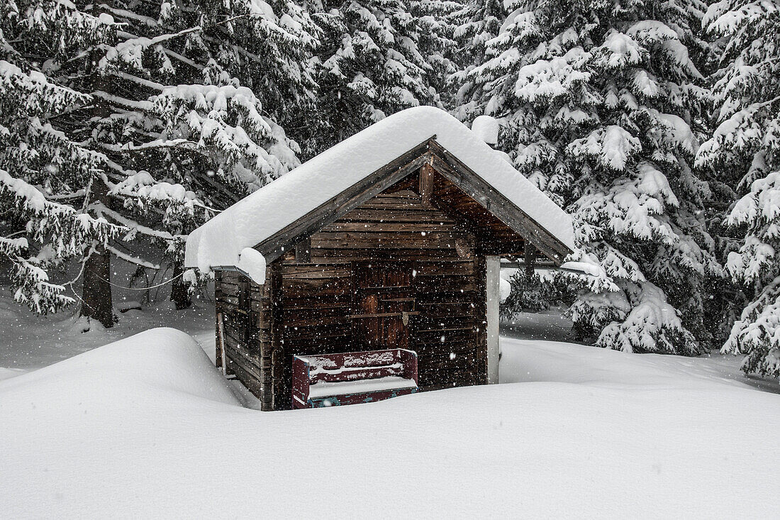 Hut in the snow, Chiemgau Alps, Ruhpolding, Bavaria, Germany