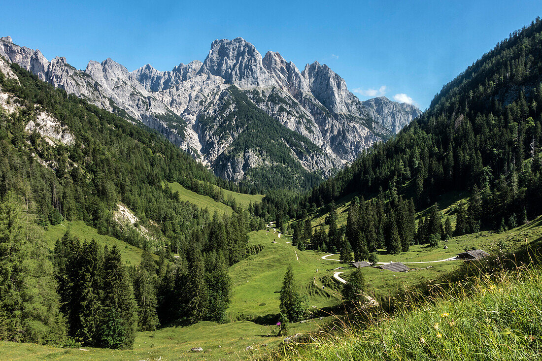 Die Ramsauer Dolomiten erheben sich hinter der Bindalm, Berchtesgadener Alpen, Bayern, Deutschland