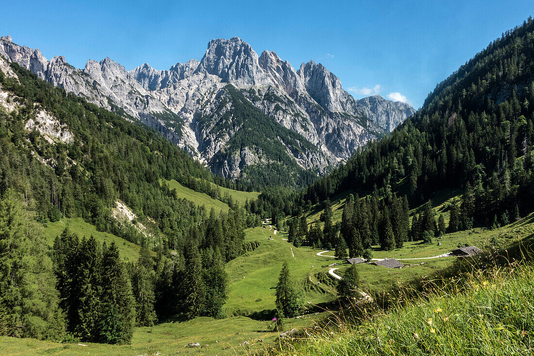 The Ramsau Dolomites rise behind the Bindalm, Berchtesgaden Alps, Bavaria, Germany