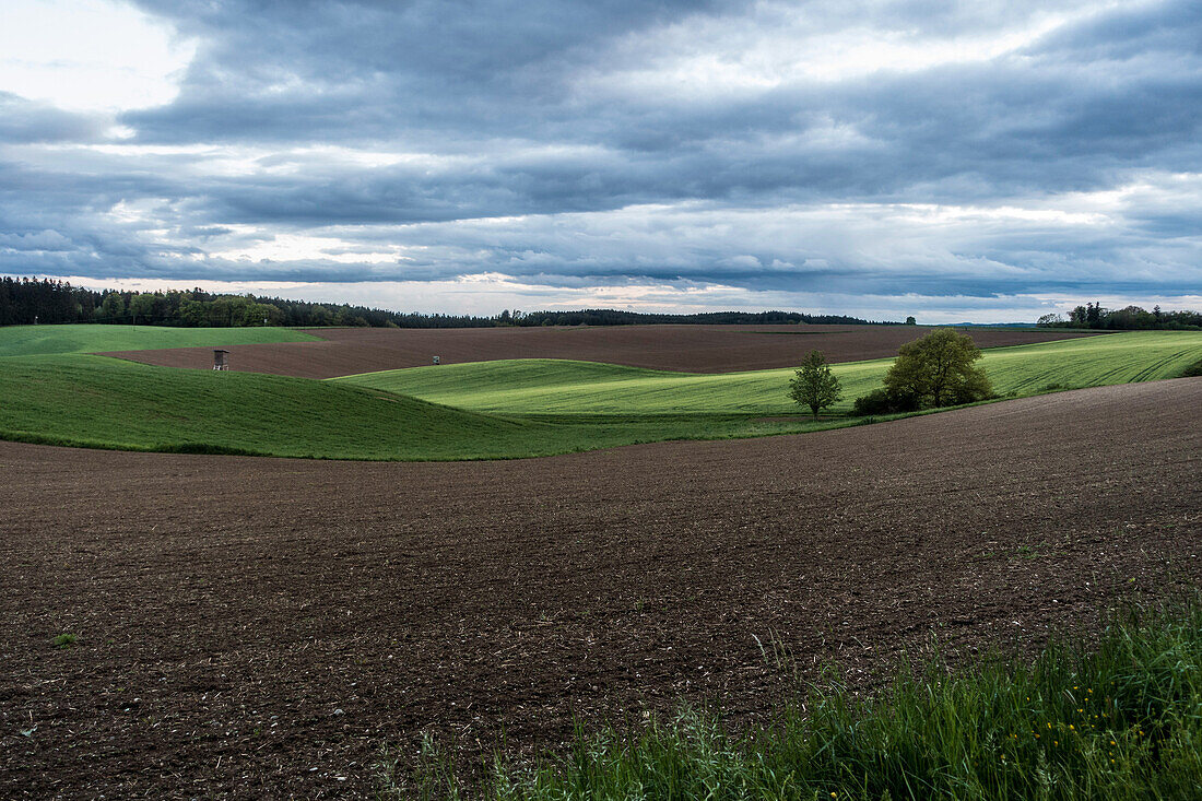 Felder im ländlichen Bayern, Kranzberg, Bayern, Deutschland