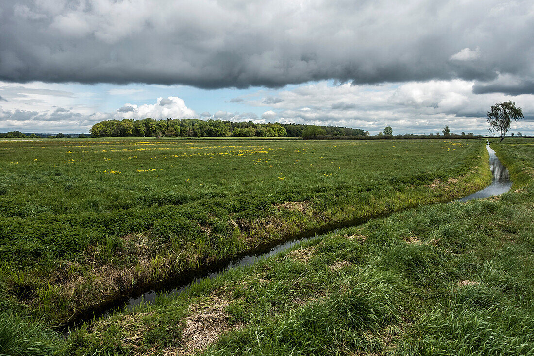 Entwässerungsgraben im Donaumoos, Königsmoos, Bayern, Deutschland