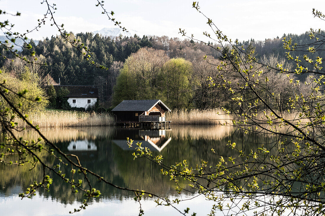 Höglwörther See, Anger, Bayern, Deutschland