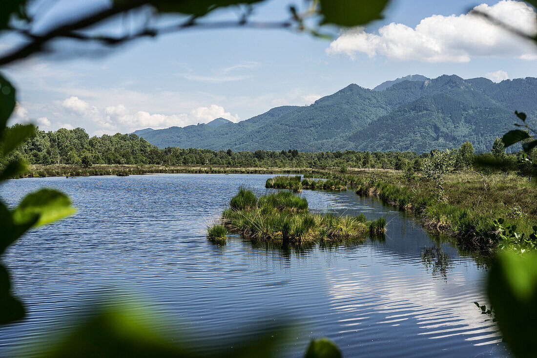 Kendlmühlfilzen with moor lake, high moor area in Chiemgau, Bavaria, Germany