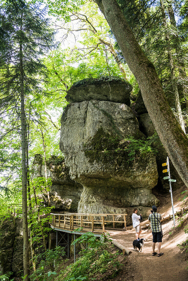 Am Amalienfelsen, Inzigkofen, bei Sigmaringen, Naturpark Obere Donau, Oberes Donautal, Donau, Schwäbische Alb, Baden-Württemberg, Deutschland