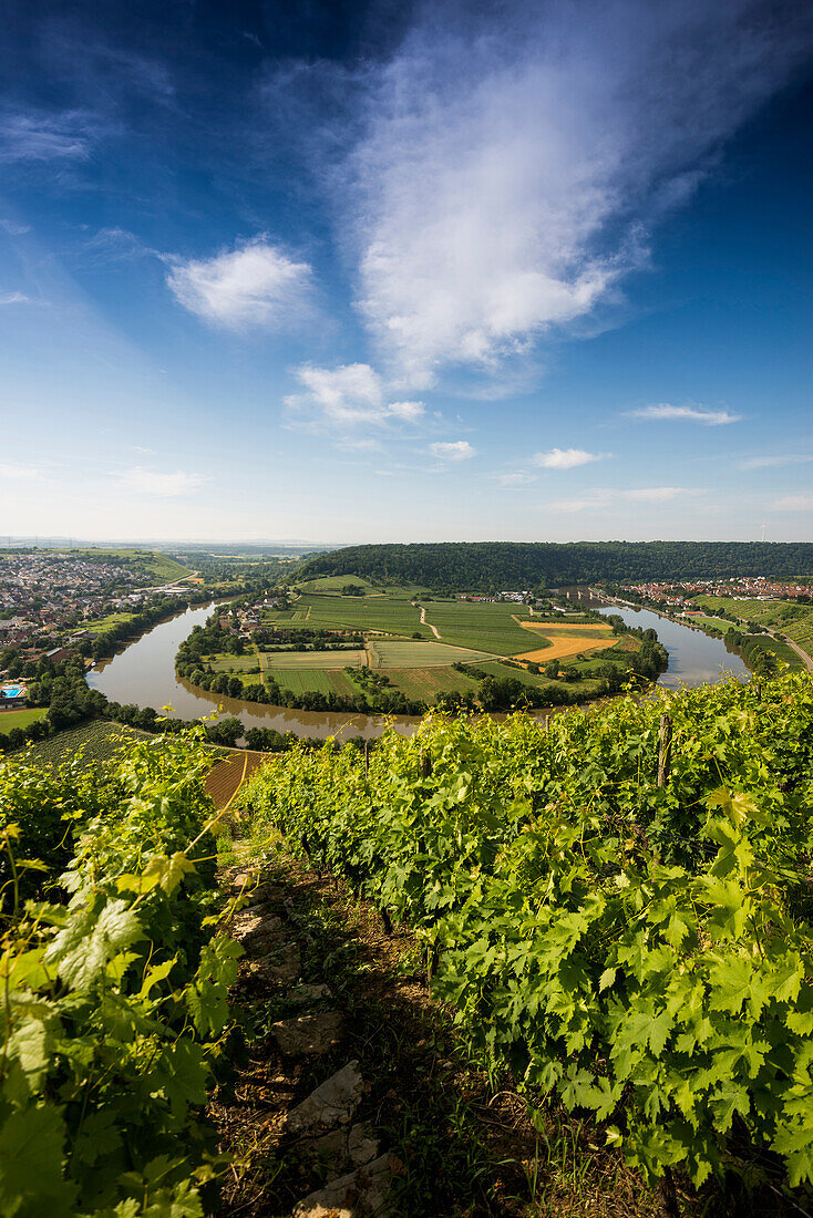 Neckarschleife und Weinberge, Mundelsheim, Neckar, Neckartal, Baden-Württemberg, Deutschland