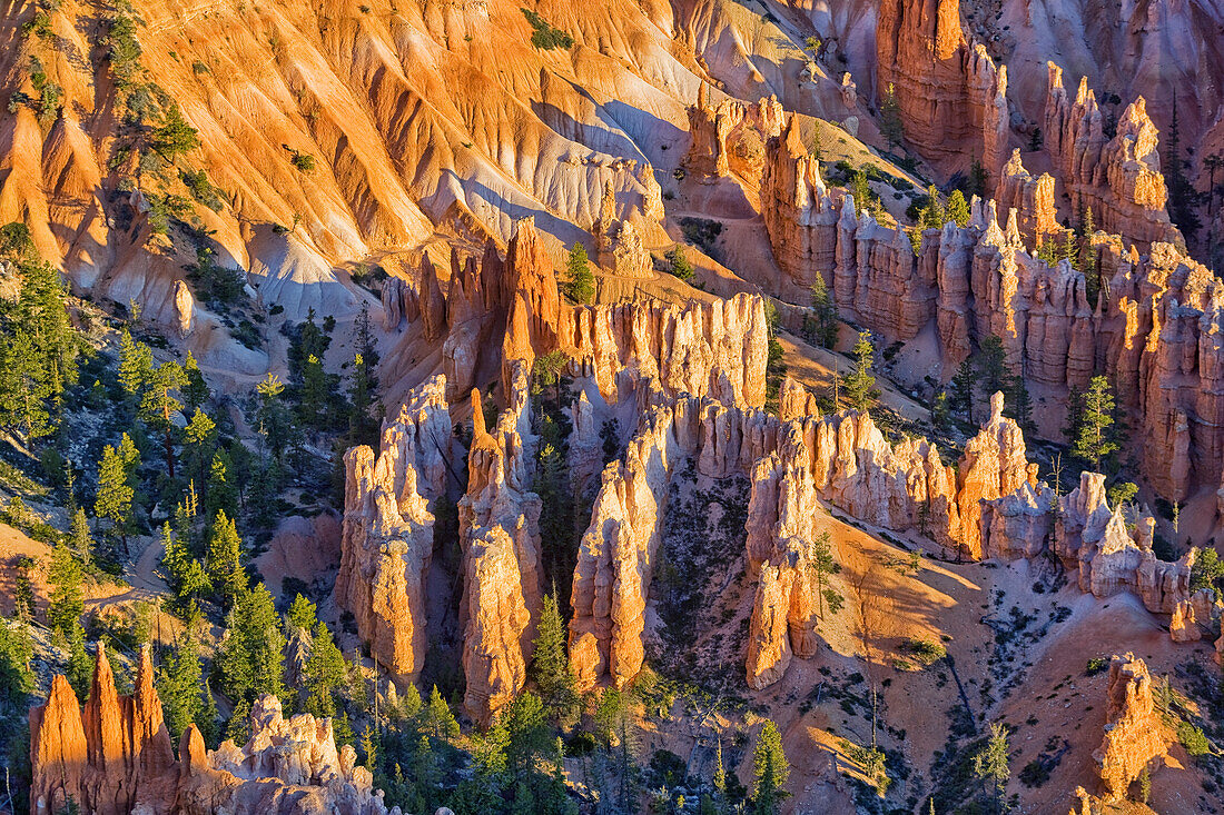 Sandstone formations, Bryce Canyon, Bryce Canyon National Park, Utah, USA