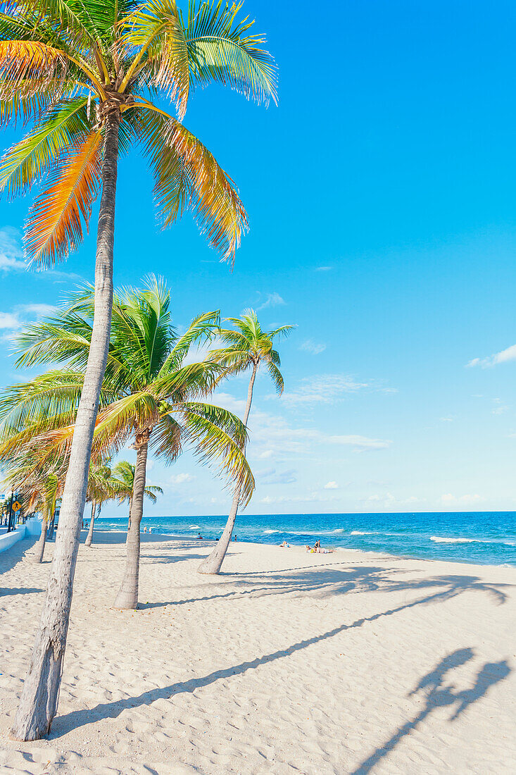 Strand von Fort Lauderdale, Fort Lauderdale, Broward County, Florida, USA