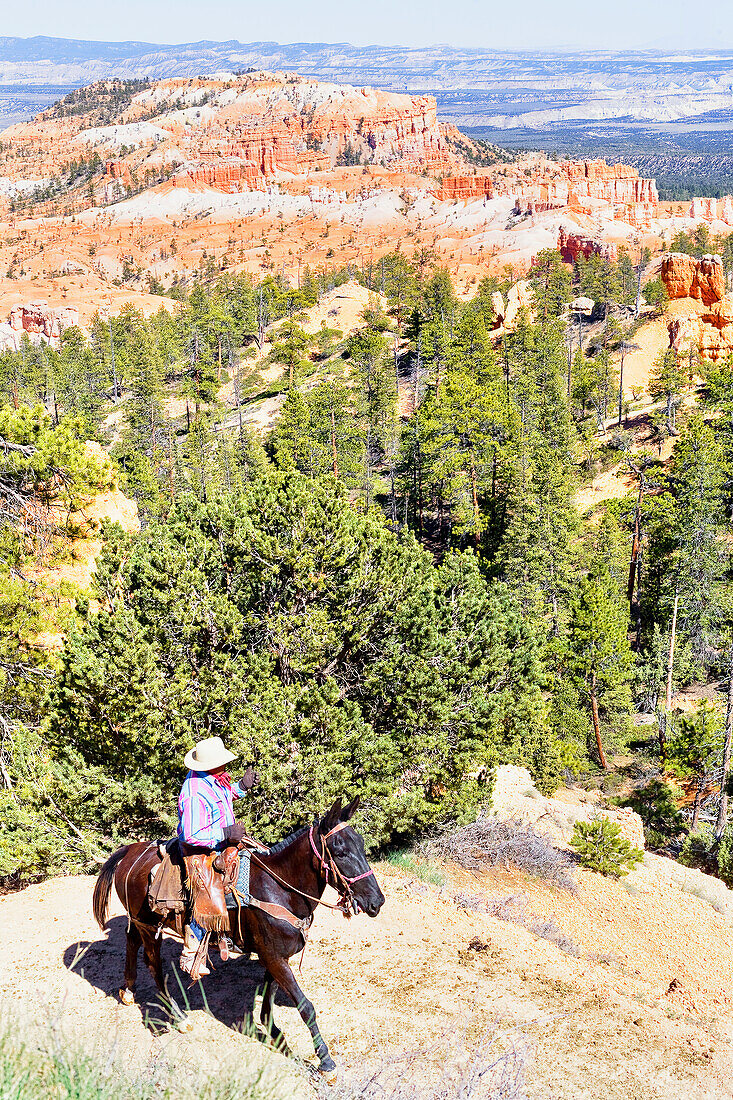 Horseback rider, Bryce Canyon, Bryce Canyon National Park, Utah, USA
