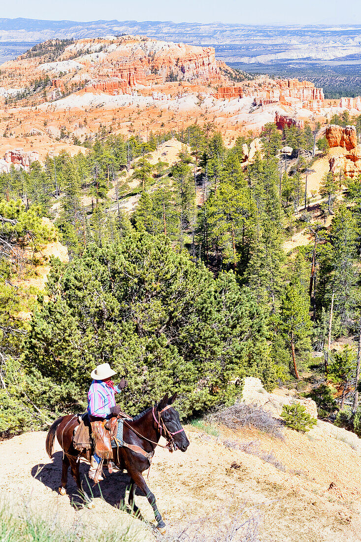 Reiter, Bryce Canyon, Bryce-Canyon-Nationalpark, Utah, USA